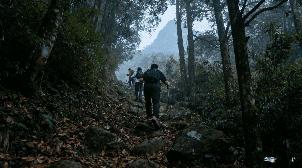 全面解析老王VPN：安全保障与使用体验全面揭秘